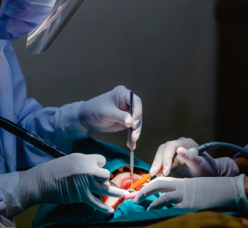 Oral & Maxillofacial Surgery